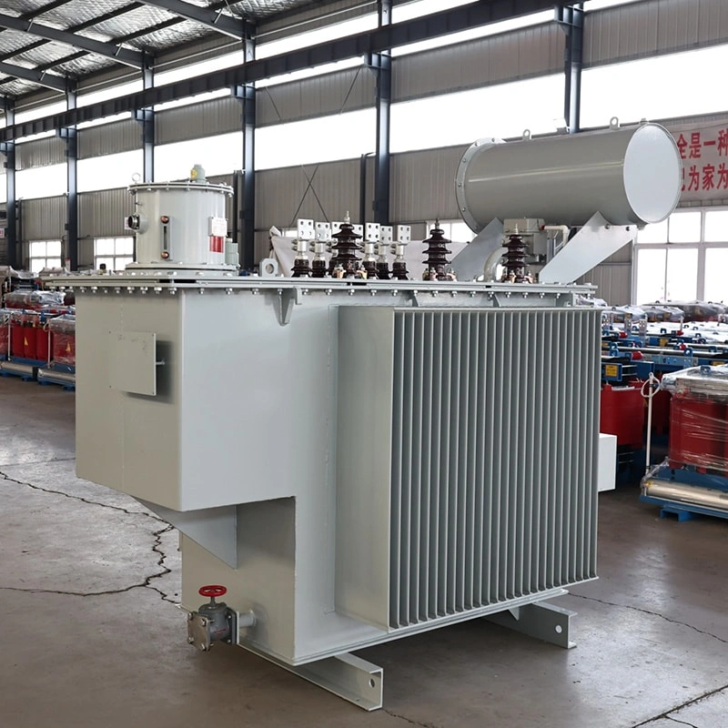 professional oil-immersed transformer manufacturer 